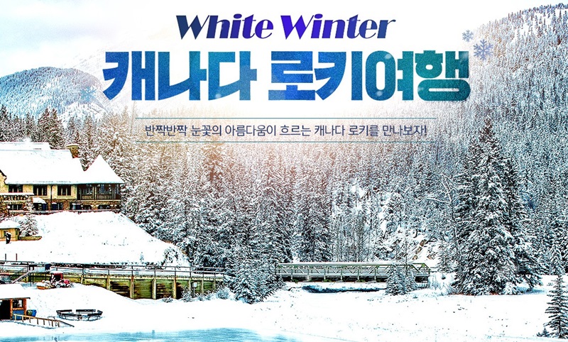 상품배너
