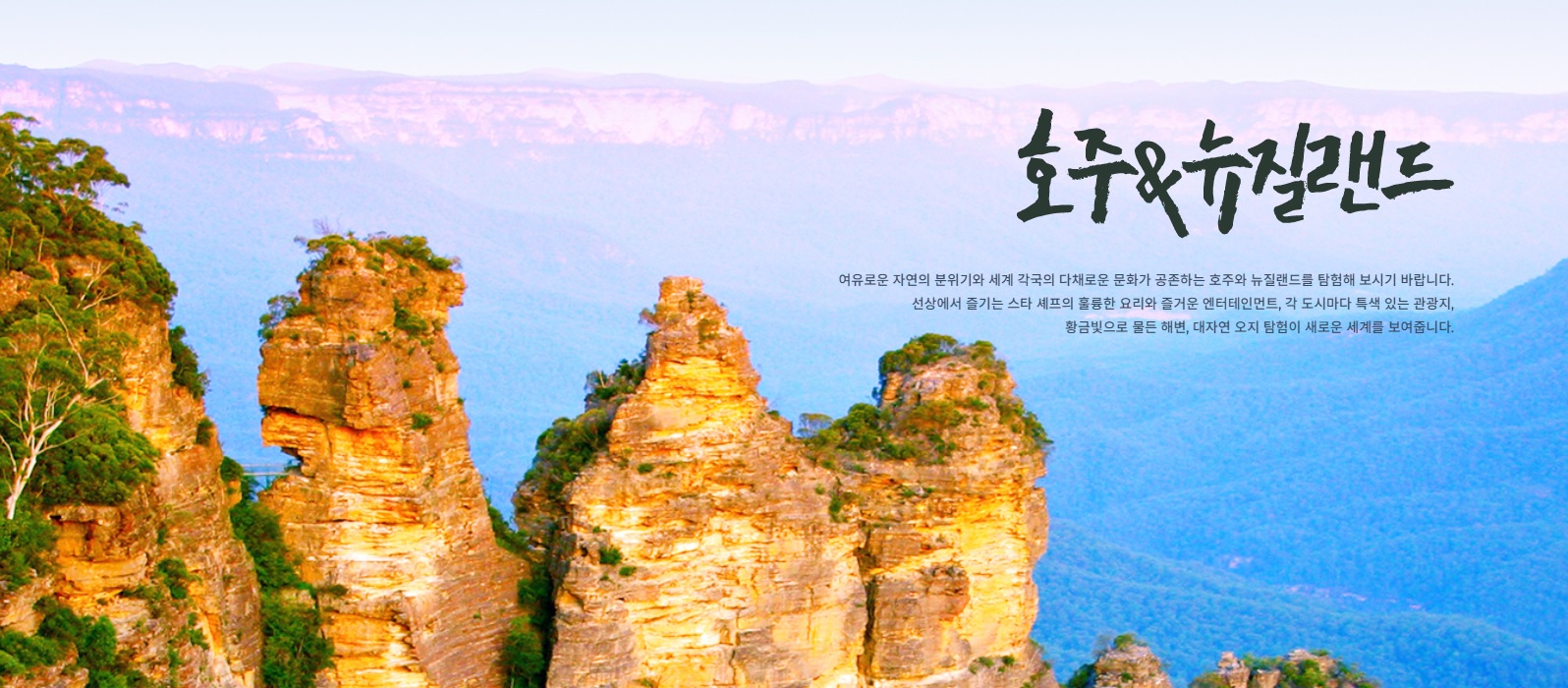 상품배너