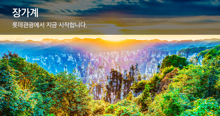 상품배너