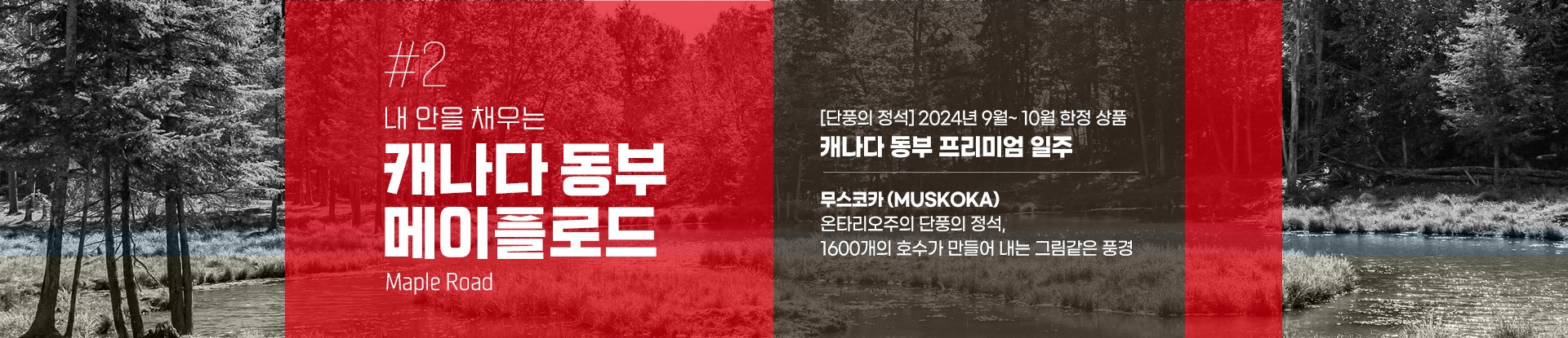 상품배너