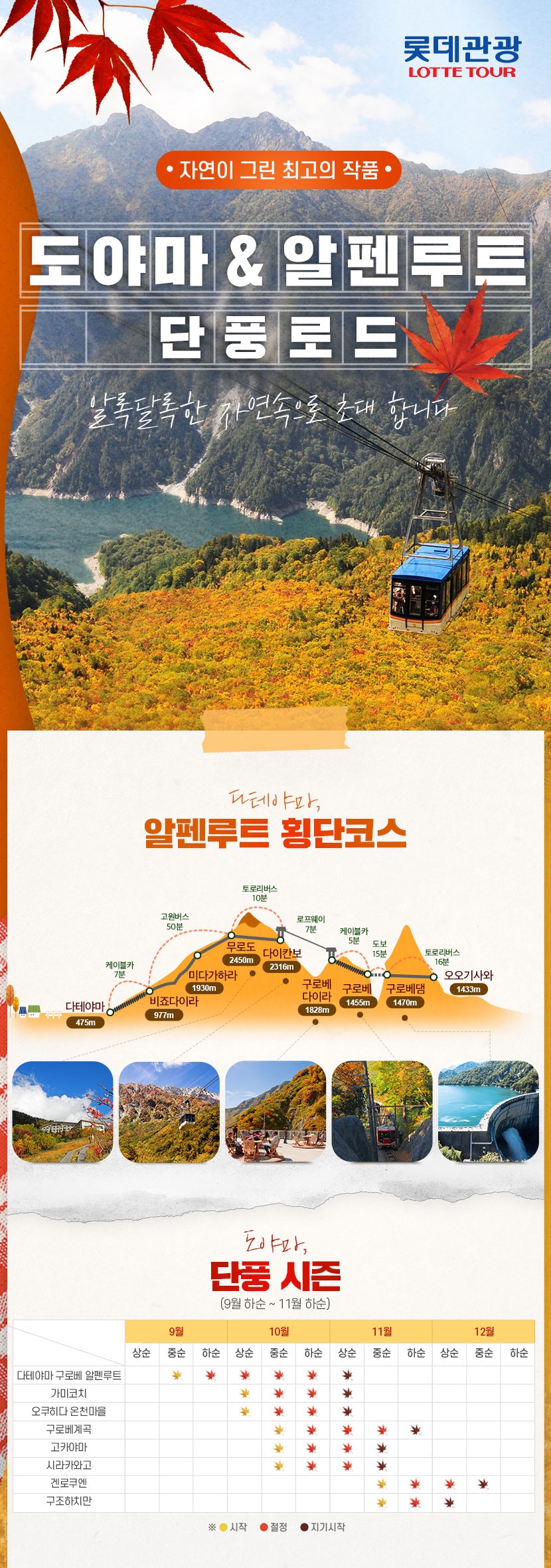 상품배너