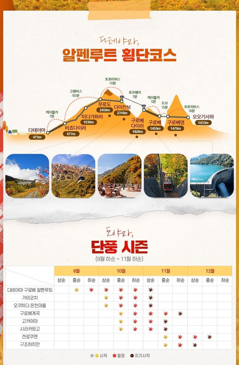 상품배너