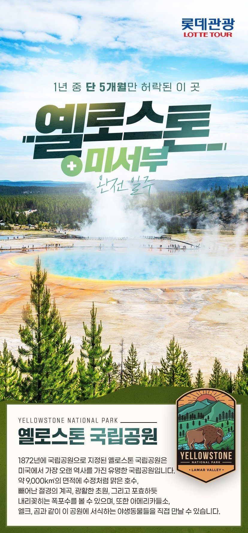 상품배너