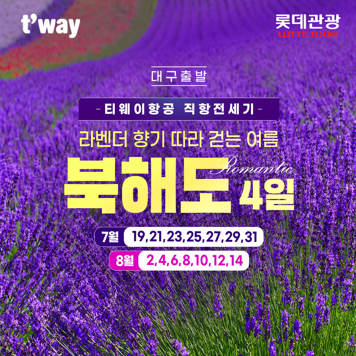 상품배너