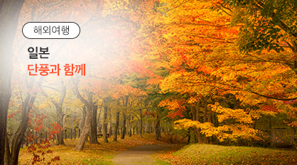 2023년 일본 단풍여행