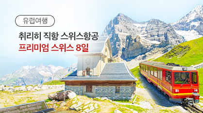 [비즈니스] 스위스항공 8일