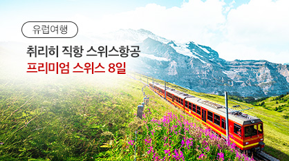 [LX] 비즈니스 스위스 8일